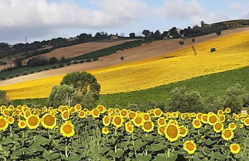 La Voce della Natura - Foto 19