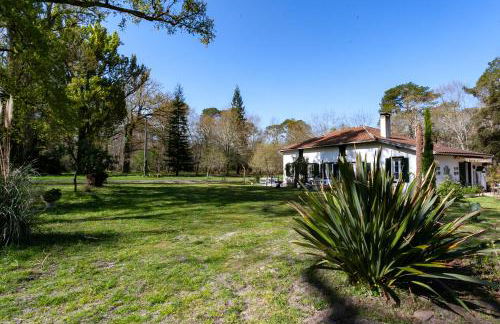 Domaine forestier Darricau au bord du lac, 12 min de l'océan - Foto 1