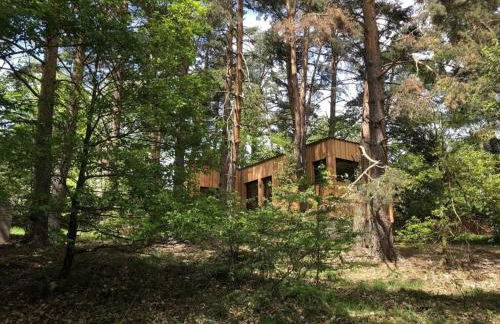 Holiday home under the trees - Photo 25