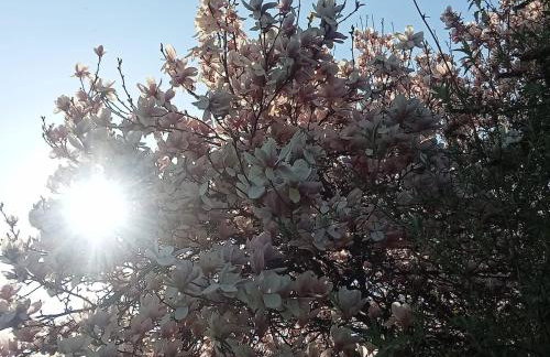 La Parenthèse gîte à la campagne - Foto 7