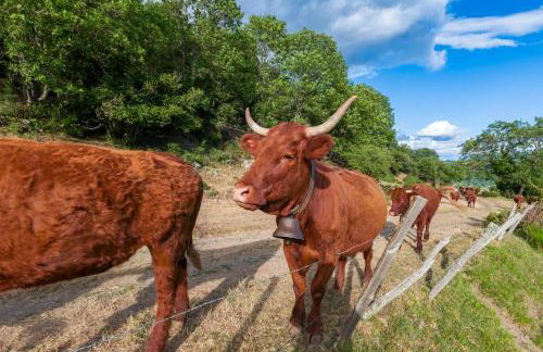 Résidence récente au Lioran à proximité des remontées mécaniques - Photo 53