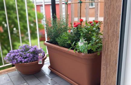 APPARTAMENTO RACHELE - Photo 3