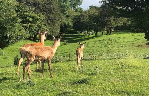 5 Bed Modern Cheltenham Town Centre Home - Photo 8