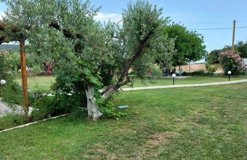 Bill & Eva's precious jewel - Photo 43