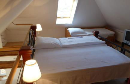 Gut-Rattelvitz-Galerie-D-hochwertig-Sauna-Kamin-eTankstelle-Spielscheune-15-000qm-Parkland - Photo 15