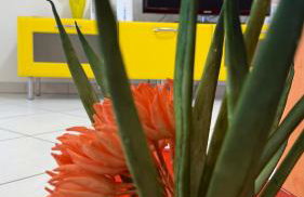 Sea Colors Apartment - Foto 7