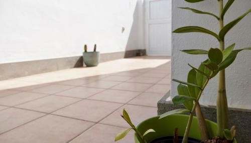 Casa Notas de Color Y Sal - Photo 5