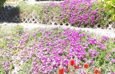 Agriturismo Villa Bracali - Foto 13