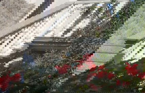 Dorica - Flower Garden - A1 - Foto 14