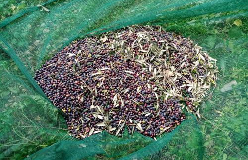 Agrisport Cà di Cuni - Foto 62