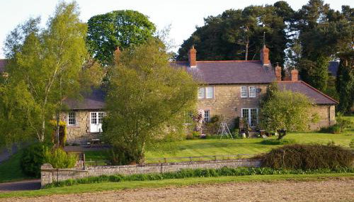 The Cottage - Foto 2, Garden, Garden view