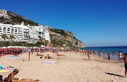 Casa Papagaios - Foto 25