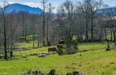 Macheta's Coutry House - Foto 57