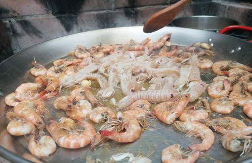 Villa Paquita - Delta de l'Ebre - Foto 54