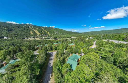 New Property! Updated 3 bed 3 bath condo with mountain ski slope views in Bretton Woods - Foto 21