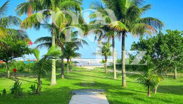 Pé na areia mais tranquilo de Bertioga - Maitinga - Photo 1