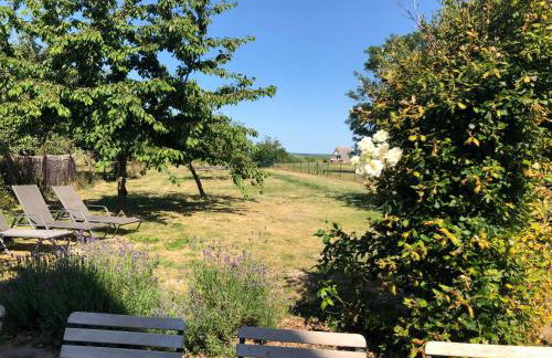 Landhaus am Achterwasser mit Bootssteg - Foto 27