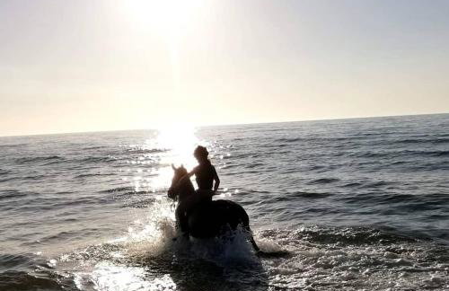 Babie Lato - Foto 44