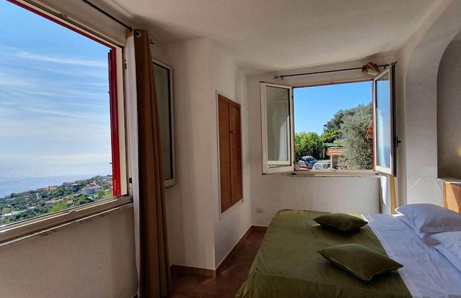 Fattoria Terranova - Foto 16