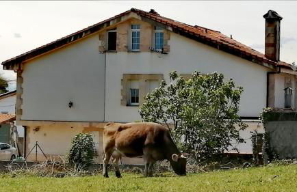 Somonte Costa - Foto 58