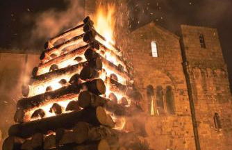 I Due Ciliegi - Foto 49