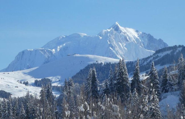 Stylish Chalet in Charming Megeve - Photo 32