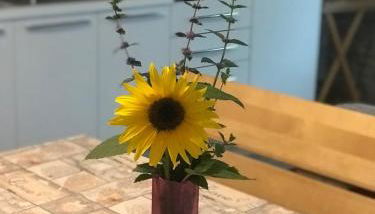 Casa Paolina - CIPAT 57814 - Photo 2