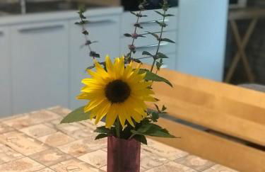 Casa Paolina - CIPAT 57814 - Photo 2