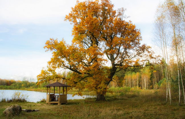 Agrousadba Pushchanskiy Ugolok - Foto 15