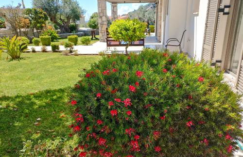 Seaside retreat house - Foto 18