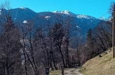 Maso Luch - Photo 12