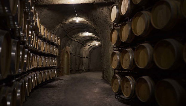 Bodegas Vinícola Real Tour - Foto 4