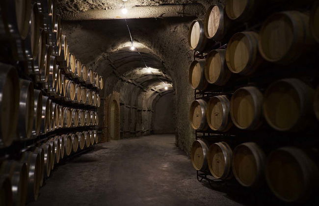 Bodegas Vinícola Real Tour - Photo 4