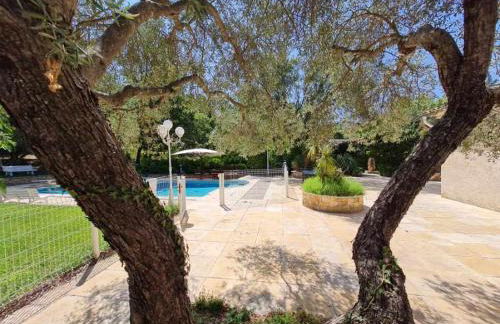 Domaine Tombarel - Foto 7