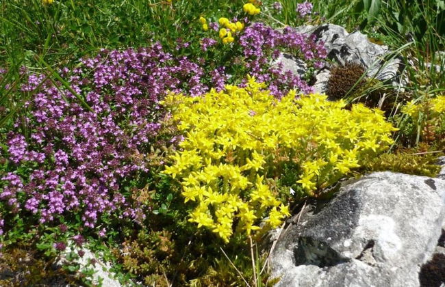 Gites Les Loges d'Arbez - Foto 23