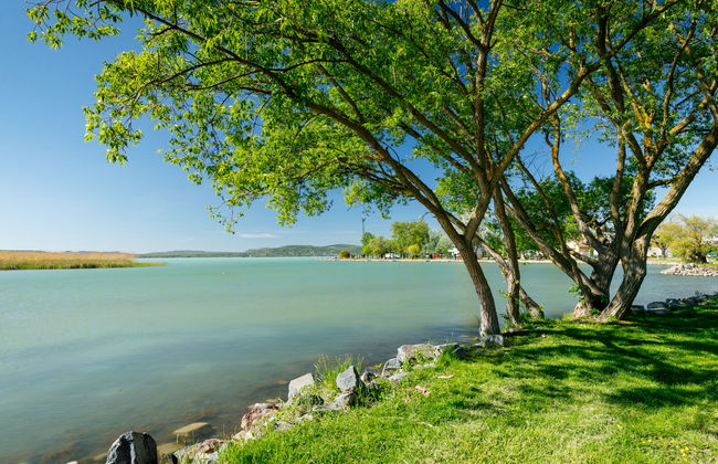 5 bedroom House in Balatonboglár with garden and terrace - Photo 37