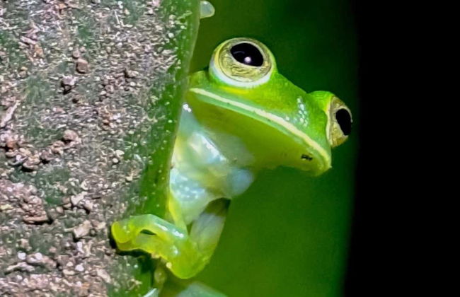 Trekking serale a Oktari Monteverde - Foto 1