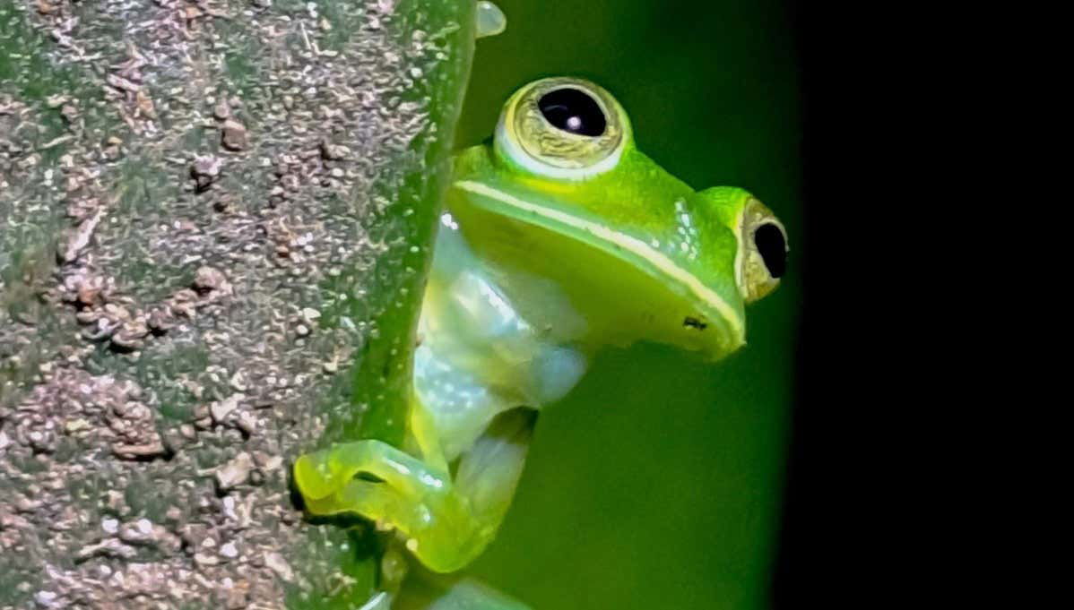 Trekking serale a Oktari Monteverde