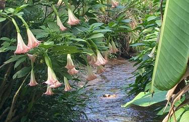 Casa ampla e aconchegante em Gramado - Foto 26