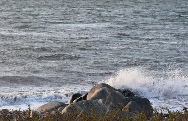 8 Person Holiday Home in Asnaes - Foto 34