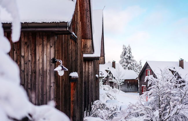 Ferienhauser, Torfhaus - Photo 20