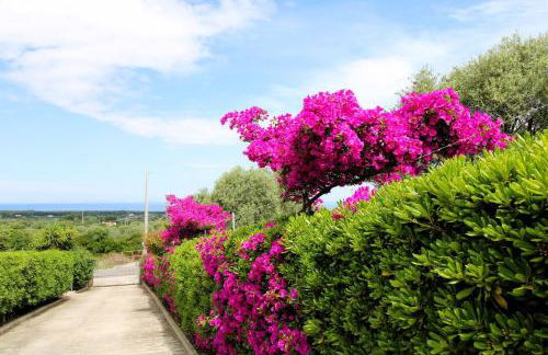 Attico Asinara - Photo 5