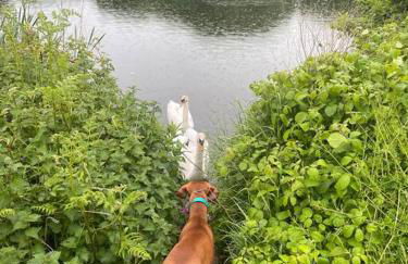 Cottage in Pembroke, Close to beaches - Foto 36