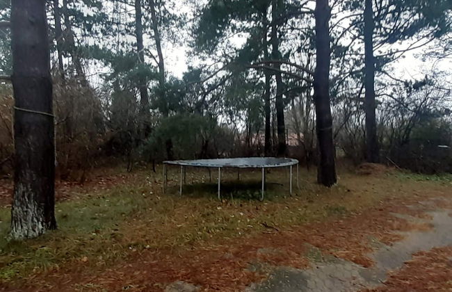 6 Person Holiday Home in Jaegerspris - Foto 27