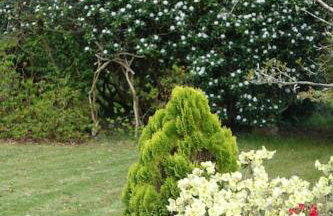 Stylish Scottish Manor, Coillemore House - Foto 8