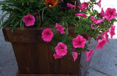 Appartamento Poggio Romantico - Foto 33