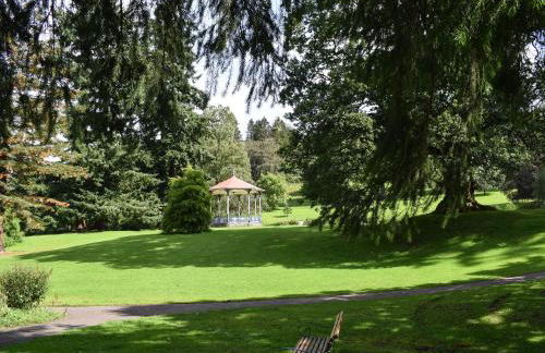 Tree Tops - Photo 12