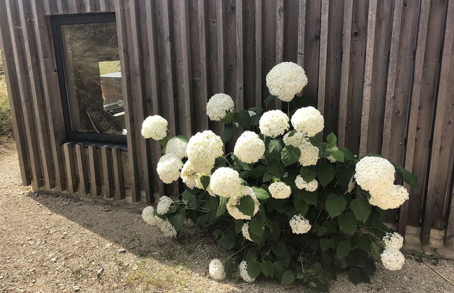 Large Boutique Holiday House With hot tub Near Bath - Foto 25