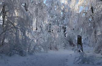 Apartment Siegmund by Interhome - Foto 21