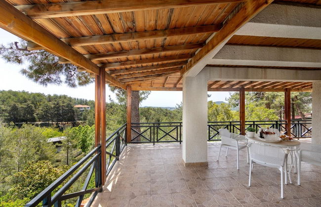 Platres Forest Panorama - Foto 12